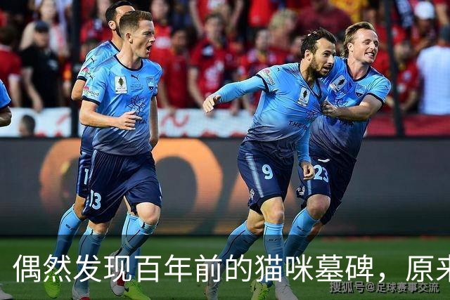 偶然发现百年前的猫咪墓碑，原来被爱过的痕迹，真的不会消失！