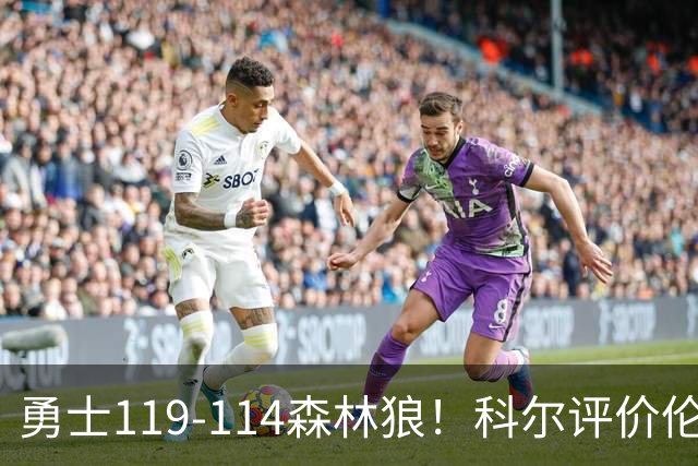 勇士119-114森林狼！科尔评价伦德博格，库里44+8+6力证两大事实