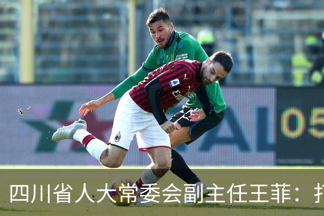 四川省人大常委会副主任王菲：打造辨识度高、示范性强的四川数智健康产业样板