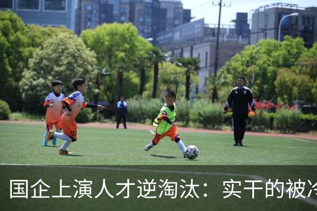 国企上演人才逆淘汰：实干的被冷落，想干的被架空，拍马屁的重用