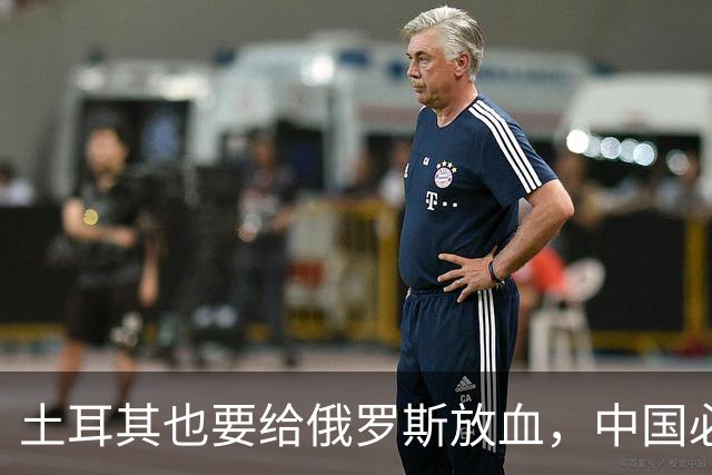 土耳其也要给俄罗斯放血，中国必须吸取教训，台海一战绝不能久拖