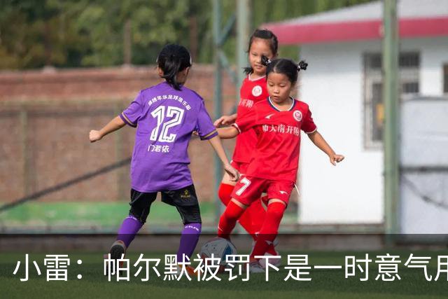 小雷：帕尔默被罚下是一时意气用事，撞M费那下本可能是直红
