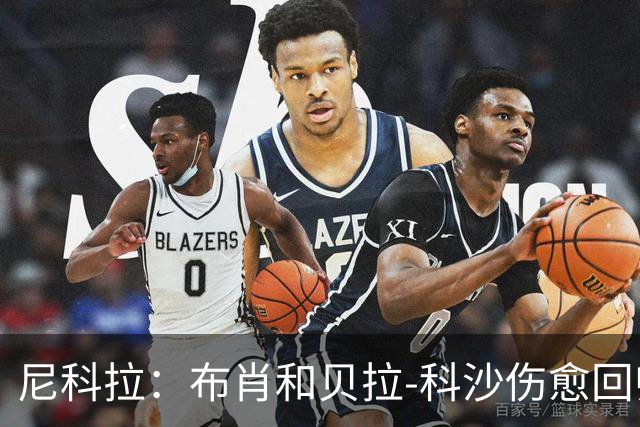 尼科拉：布肖和贝拉-科沙伤愈回归；我们本该赢下热那亚