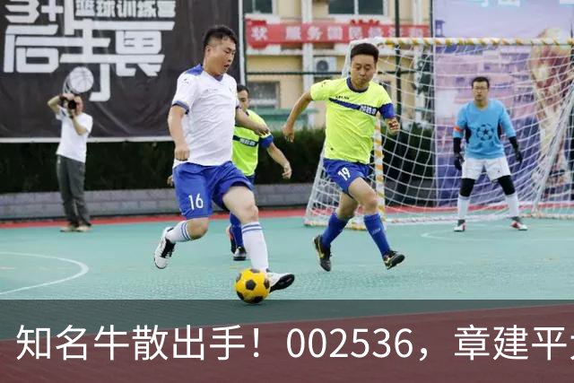 知名牛散出手！002536，章建平大举买入