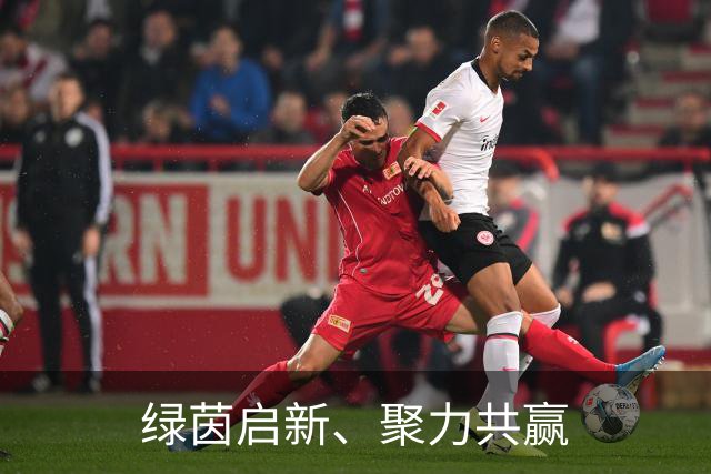 绿茵启新、聚力共赢