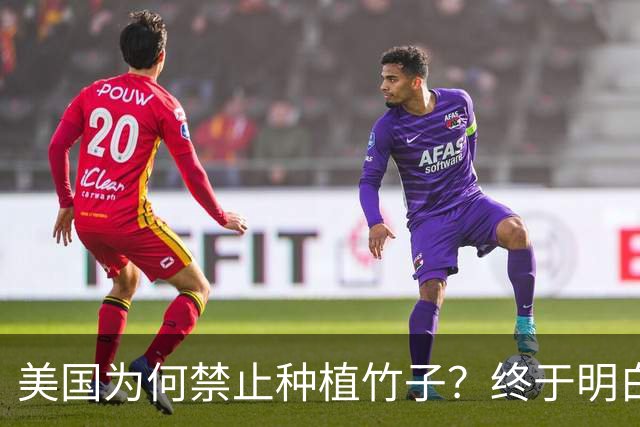 美国为何禁止种植竹子？终于明白，原来竹子比我们想象的更可怕