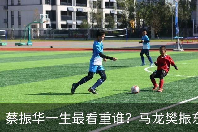 蔡振华一生最看重谁？马龙樊振东都落选，保国乒长青的底牌终揭晓