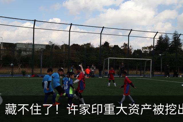 藏不住了！许家印重大资产被挖出，186.5亿转给了“重庆李嘉诚”