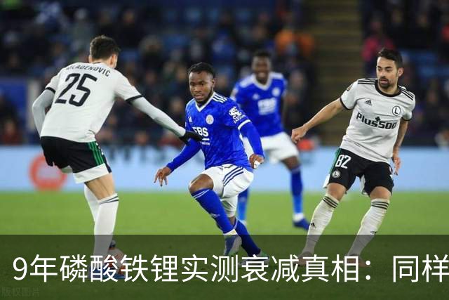 9年磷酸铁锂实测衰减真相：同样开9年，健康度差14%！车主必看